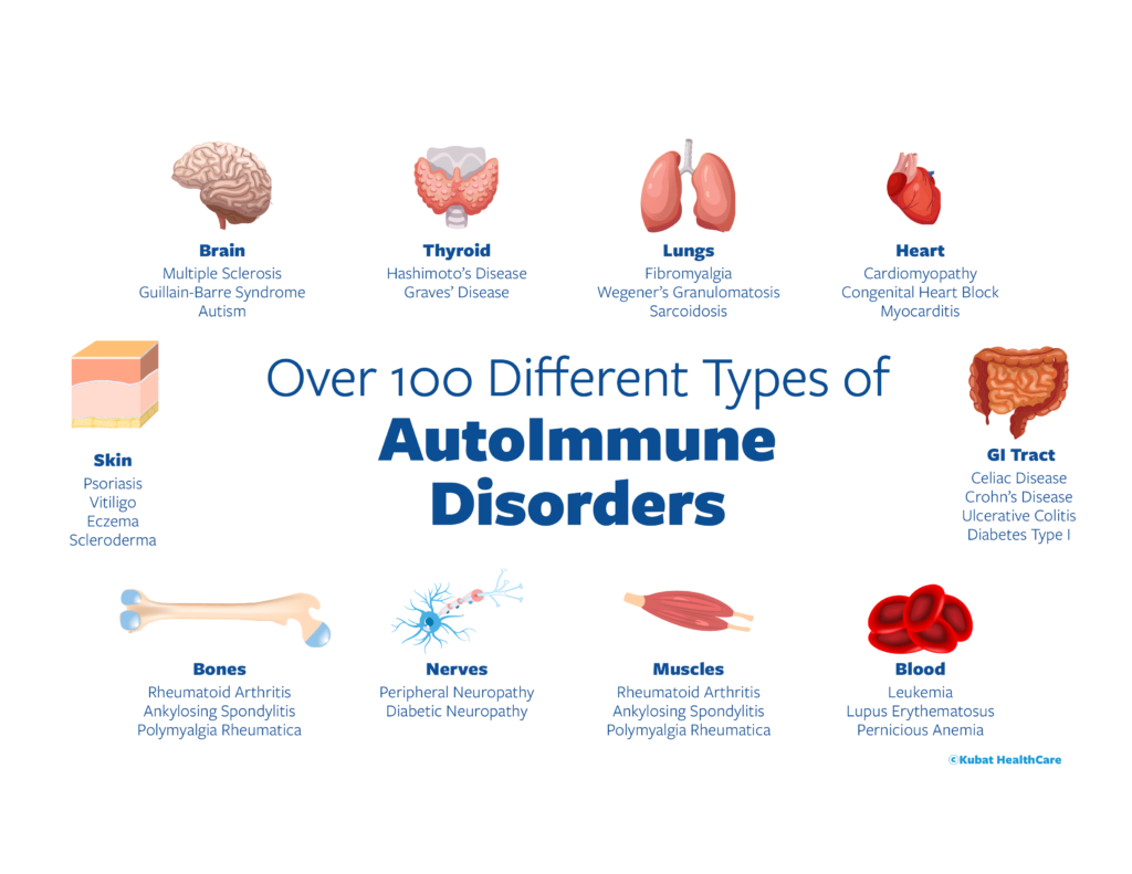 Graphic listing some of the different types of autoimmune disorders categorized by different organs that are affected from the disorder